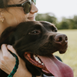 ペットビジネスの成功戦略｜動向から学ぶマーケティングのポイントとは