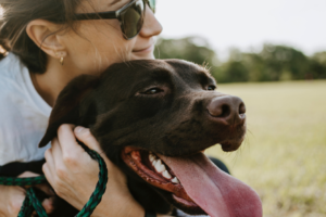 ペットビジネスの成功戦略｜動向から学ぶマーケティングのポイントとは