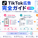 TikTok広告完全ガイド2026 アイキャッチ Image 2.0図解