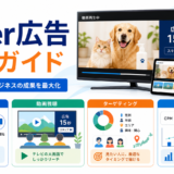 TVer広告の始め方完全ガイド｜費用・ターゲティング・効果を徹底解説 ファーストビュー図解