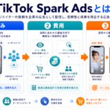 TikTok Spark Adsとはを解説するhero image2.0インフォグラフィック