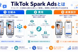 TikTok Spark Adsとはを解説するhero image2.0インフォグラフィック