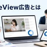 TrueView広告とはを内容別のオリジナル構図で整理した図解