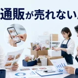 食品通販が売れない原因はを内容別のオリジナル構図で整理した図解