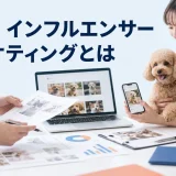 ペット インフルエンサーマーケティングとはを内容別のオリジナル構図で整理した図解
